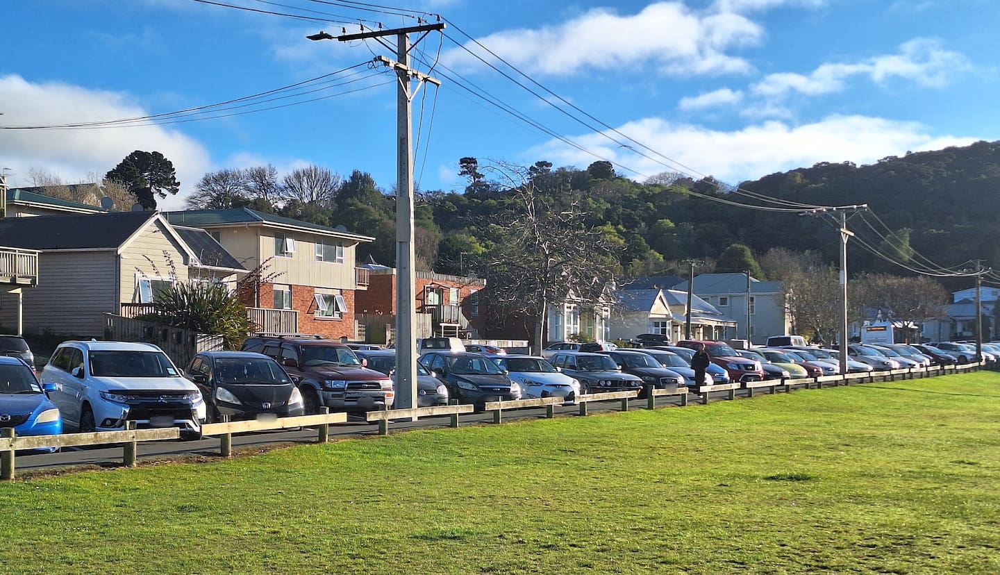 Cars parked along Harbour Terrace in Dunedin North. Photo / Ben Tomsett