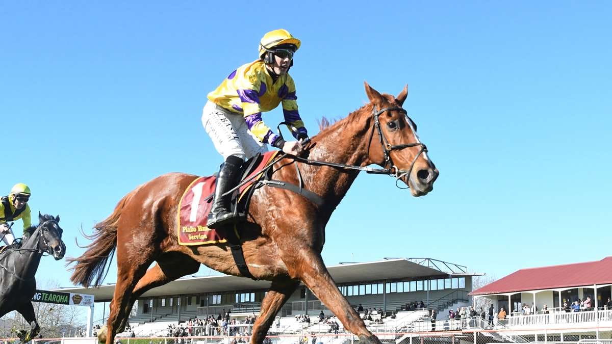 Horse racing: Harvey Wilson’s Jerricoop steps up for Te Rapa hurdle ...