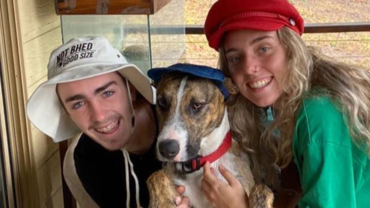 Tragic detail as skateboarder killed in Queensland