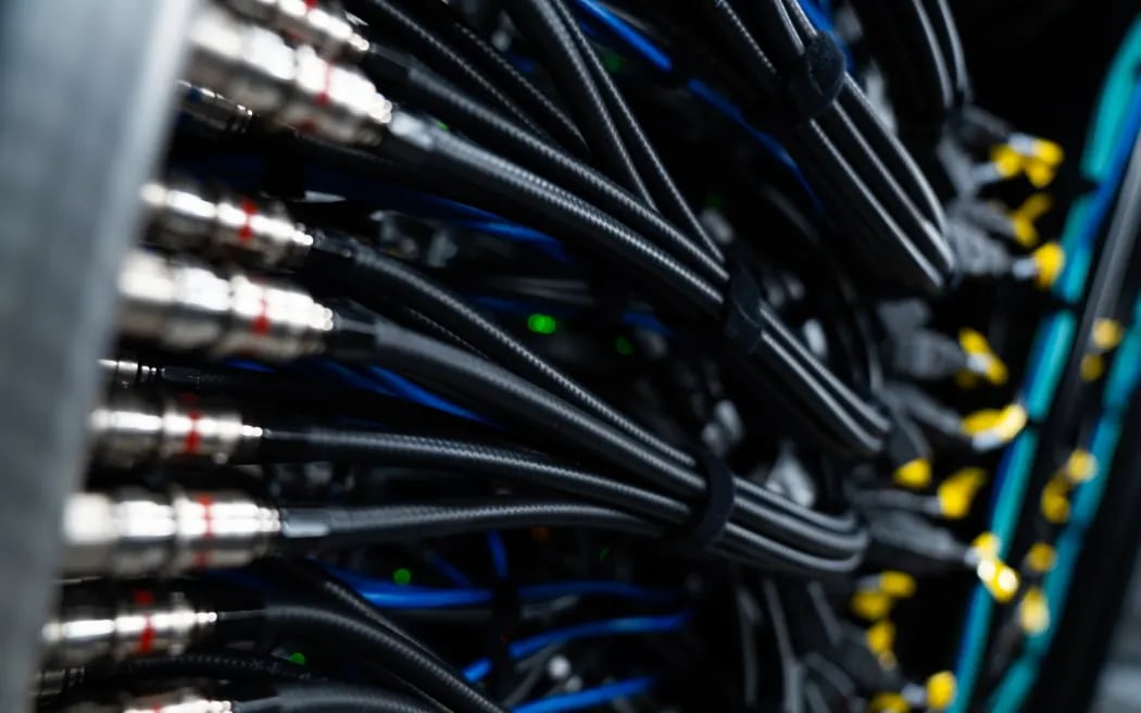 CDC NZ. Photo / Luke McPake