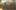 Fallout: New Vegas. Photo / Bethesda Softworks