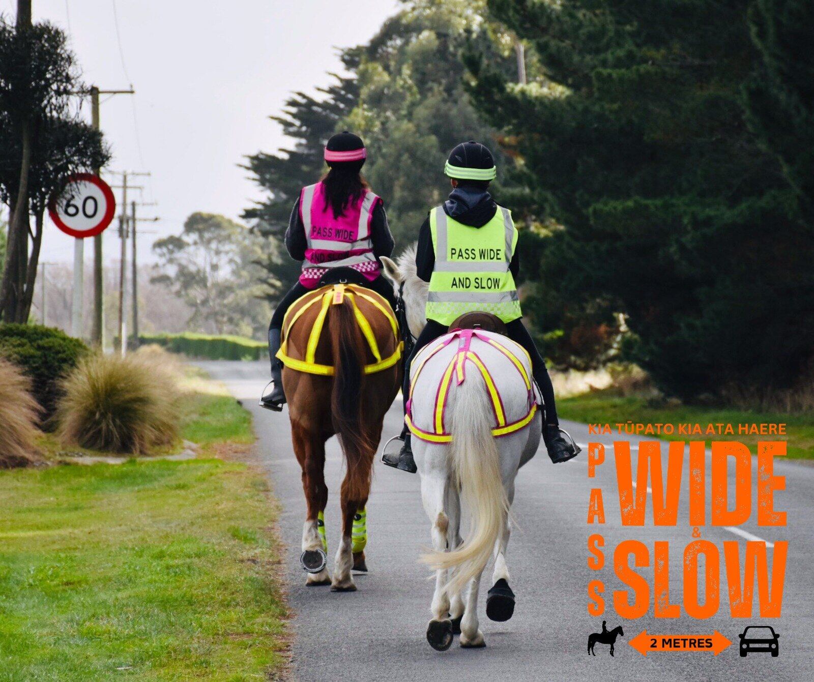  Horse riders and carriage drivers across Aotearoa New Zealand will ride in solidarity with equestrians across the world this month to promote a life saving road safety message. 