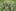 1st prize Contemporary Issues Singles: Conservation rangers of the Congo evacuate the bodies of four mountain gorillas found shot in the forest. Photo / Brent Stirton