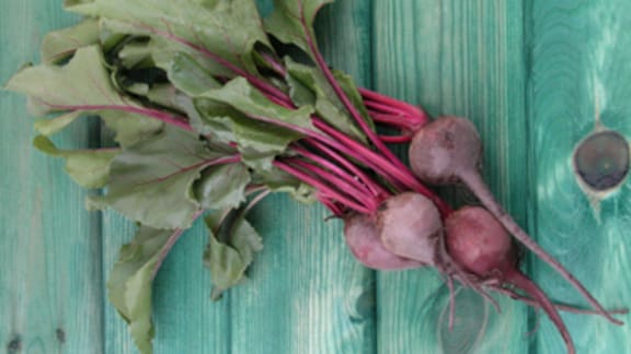 Paua bites - Eat Well Recipe - NZ Herald