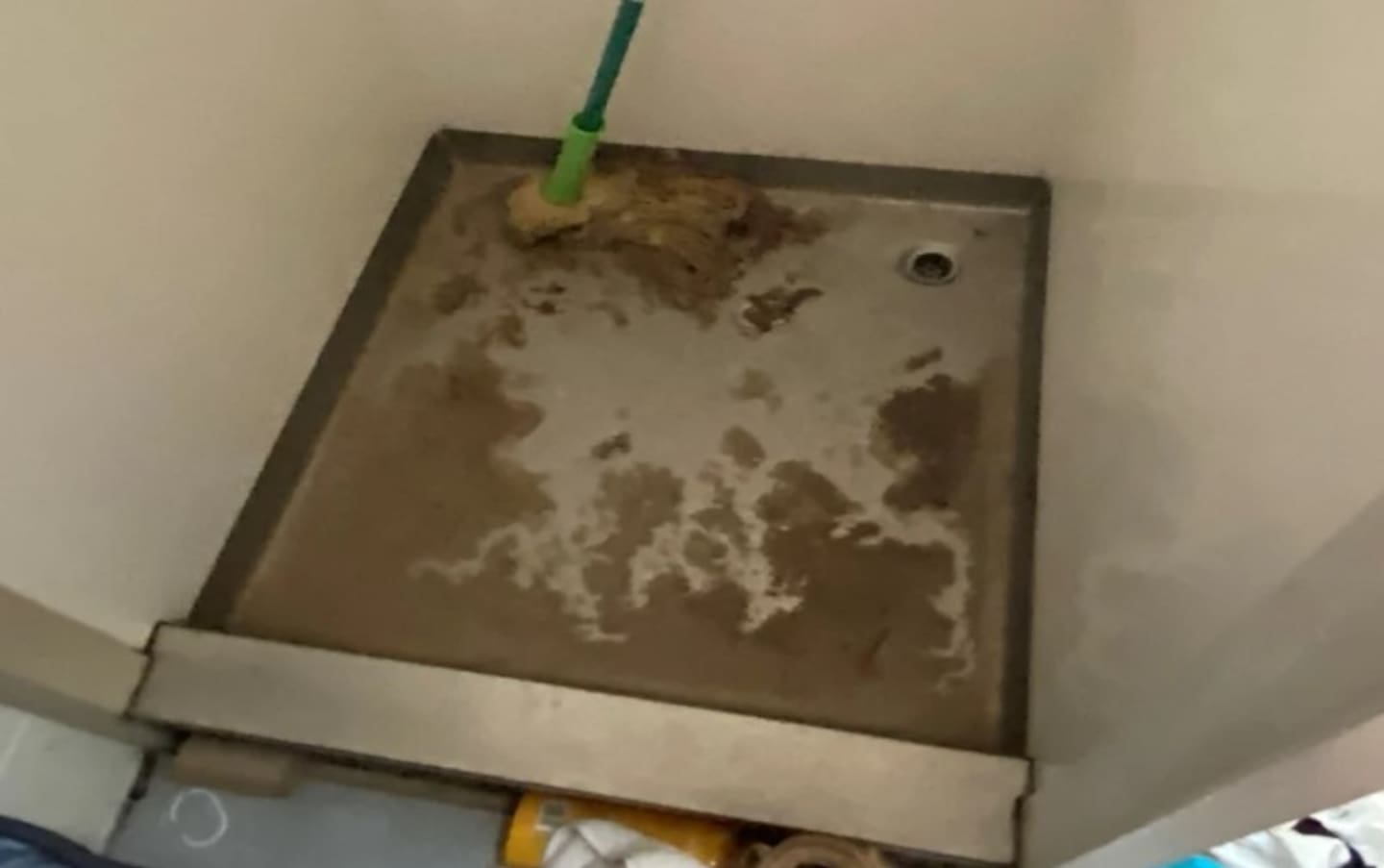 The units were in Māngere, Auckland. Photo / MBIE