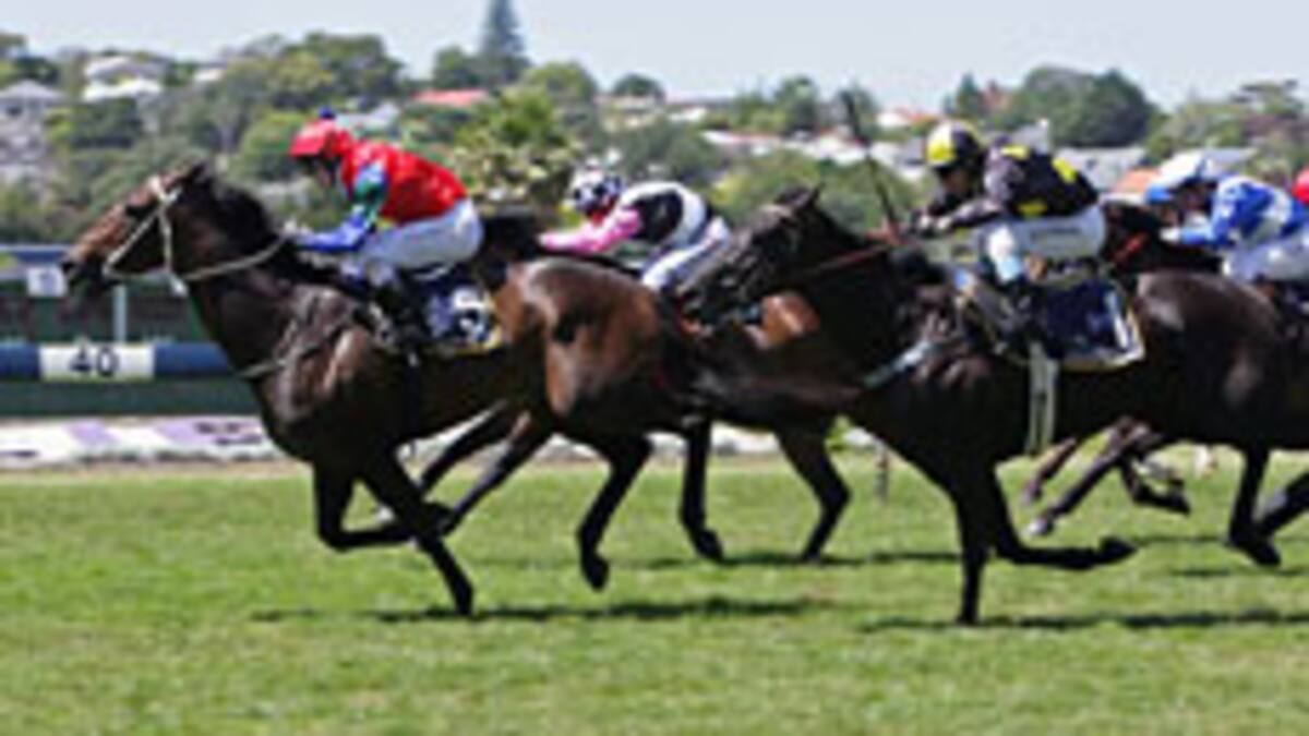 Racing: Spratt keen to challenge for title - NZ Herald