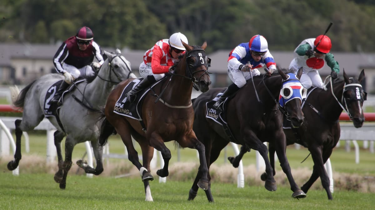 Te Rapa racing: Prowess trainers look to Dionysus as show must go on ...
