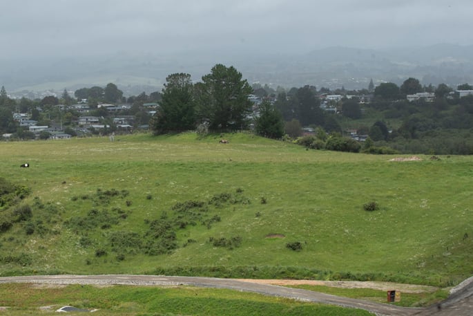 Smiths Farm near Bethlehem will become a housing development with around 300 homes. Photo / John Borren