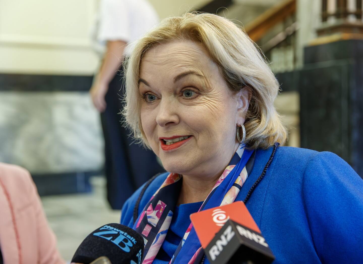 GCSB Minister Judith Collins condemned the state-sponsored hack into New Zealand parliamentary systems in 2021. Photo / Mark Mitchell