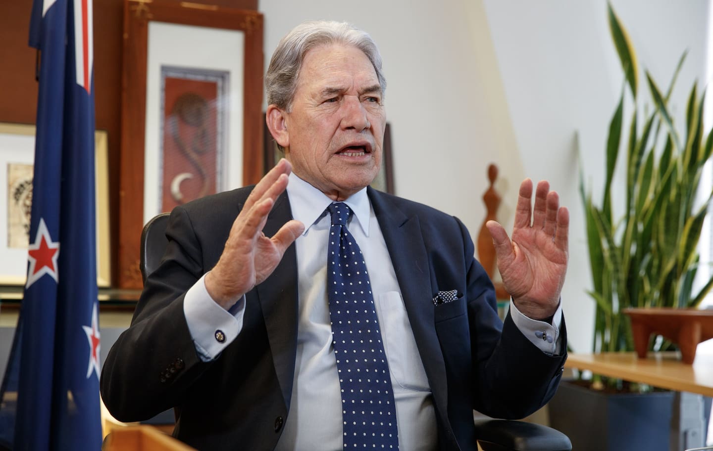 Winston Peters has moved to secure the long-term sustainability of the New Zealand racing industry. Photo / Mark Mitchell