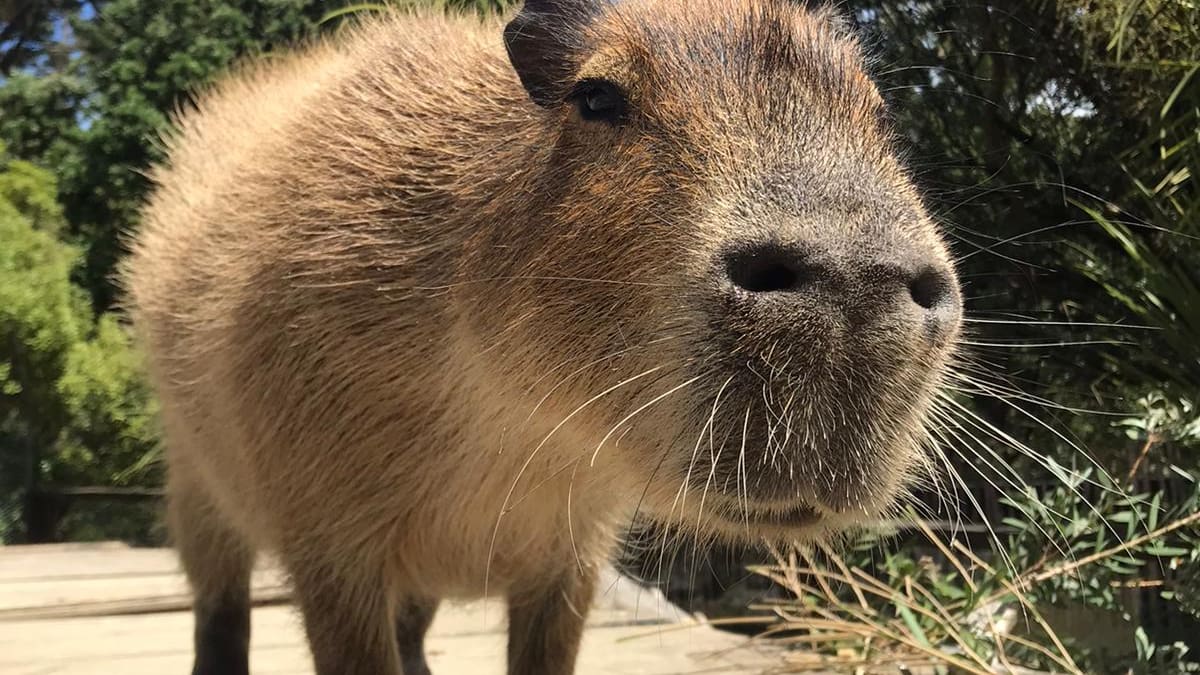 36BMDWI7EFFUHG4BGLFZFJXK5A.jpg?auth ...