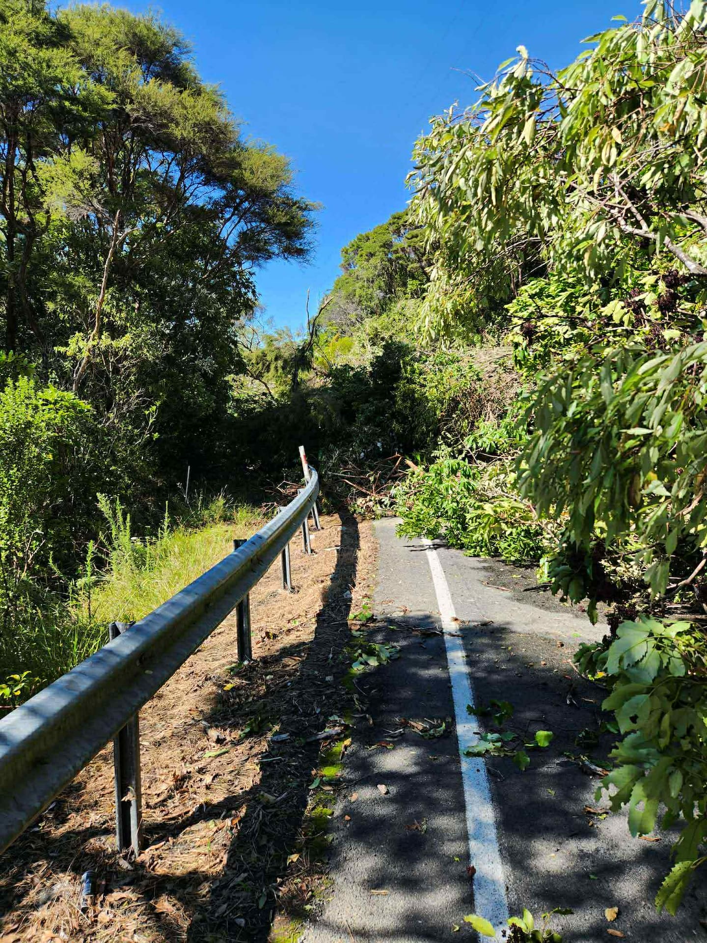 Debris was washed onto the main roads heading into Te Araroa.