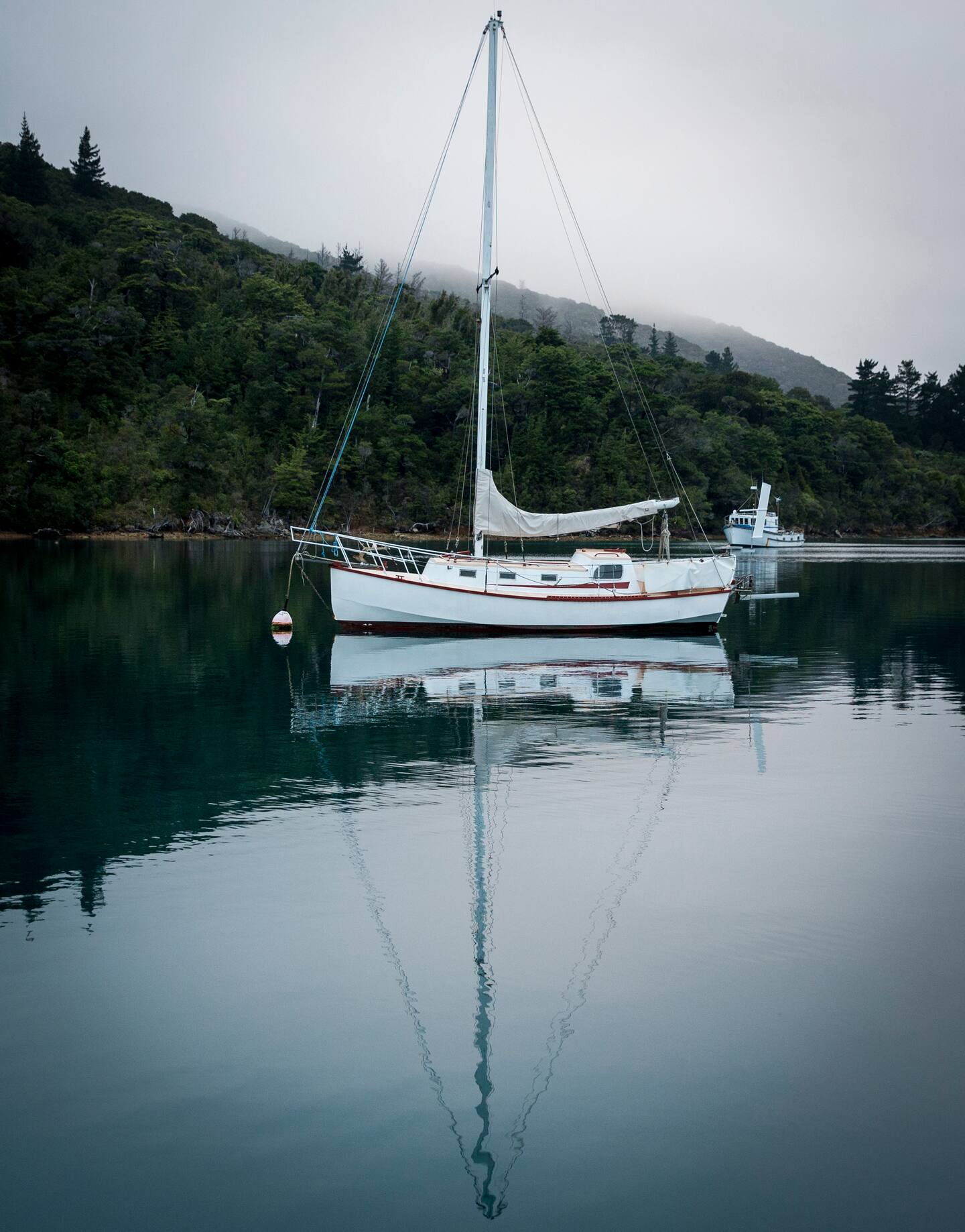 An expert has questioned whether the hairs found on Scott Watson's boat, Blade (pictured), were Olivia Hope’s. Photo / Mike Scott