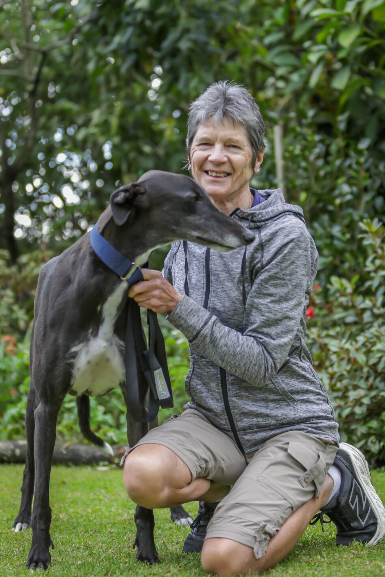  Greyhounds as Pets volunteer Sandy Henderson with her greyhound Merc. Photo / Kelly O'Hara