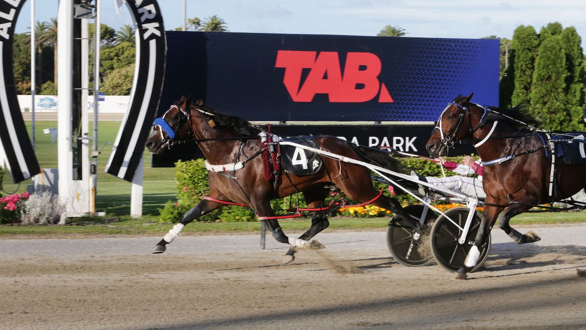 Alta Meteor to miss Cup qualifier at Addington after picking up bug Alta Meteor to miss Cup qualifier at Addington after picking up bug