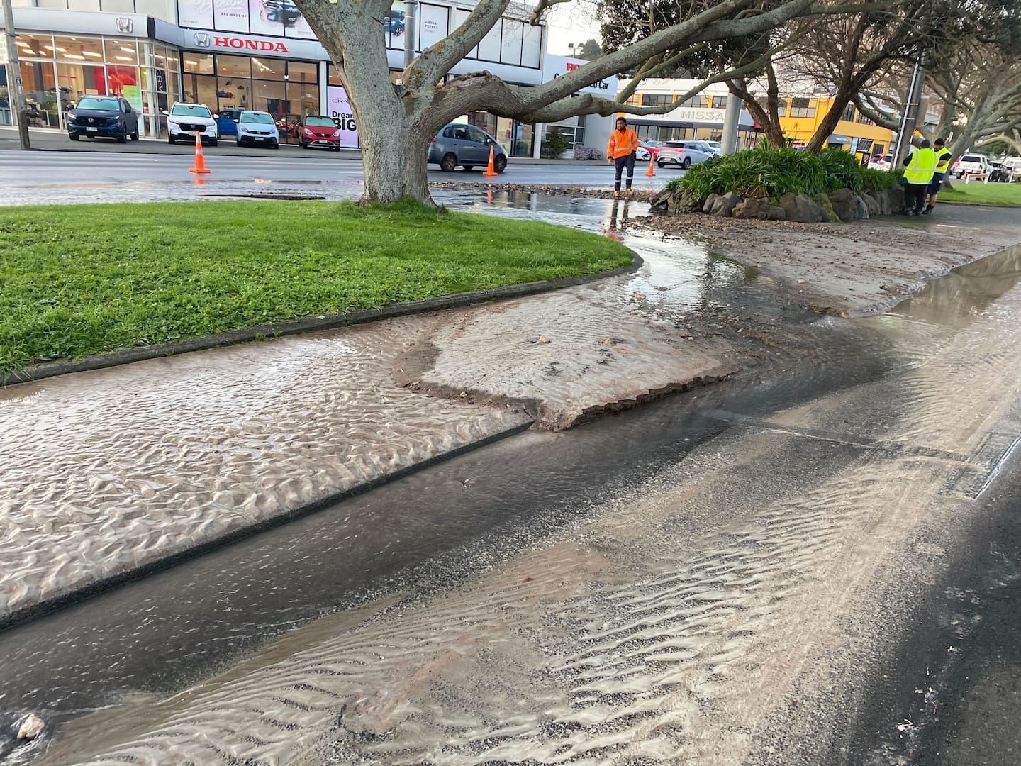 Commuters are being asked to avoid the area or expect delays. Photo / Ethan Manera