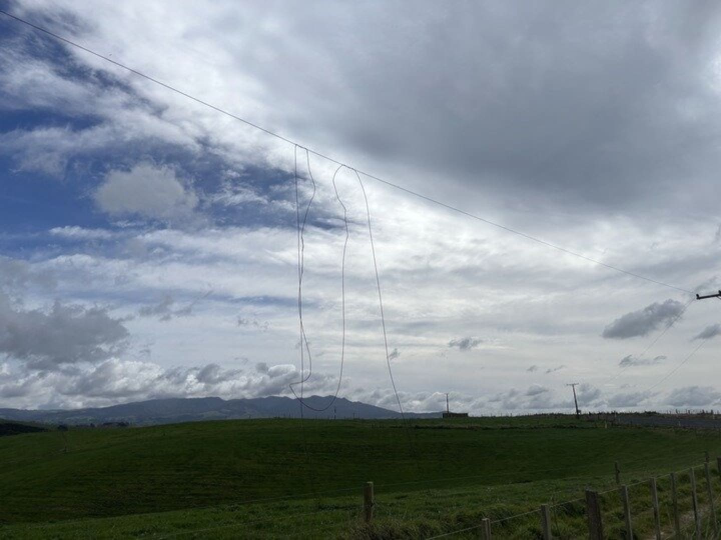 Damage to a powerline near Ōtorohanga after a vehicle collided with a power pole. Photo / Michael Morrah, Katie Harris