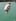 Kyle jumps off the back of a boat, taking his first swim of the season. Photo / Shirley Reeve