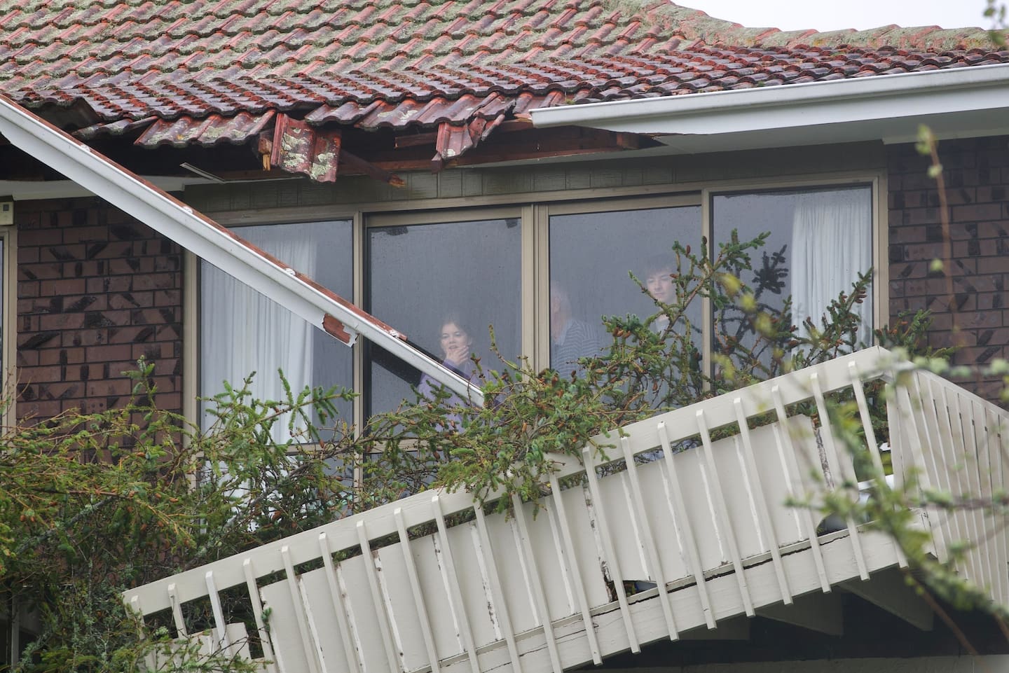 An Auckland couple in their 80s have been trapped in their home by a fallen tree.
