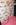 7) Publish Ivana Trump