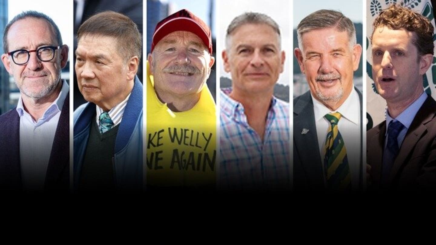 The candidates so far confirmed are Andrew Little, Ray Chung, Graham Bloxham, Karl Tiefenbacher, Rob Goulden and Kelvin Hastie. NZH composite image