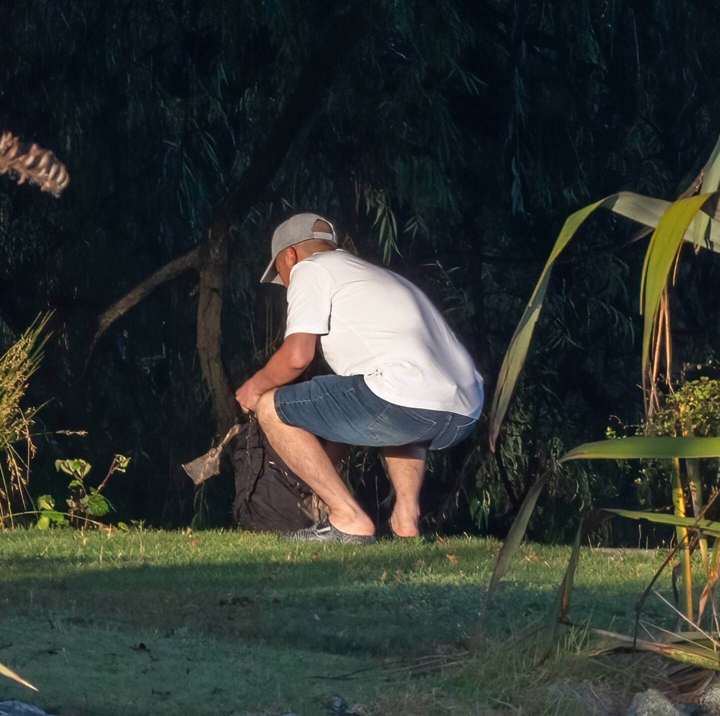 A man was seen luring a swan with food at Western Springs Park before allegedly attacking and capturing it. Photo / Lydia Gillies, Geoff Shepherd