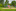 Studies have shown that the more natural green space children encounter in their daily lives, the better their progress in working memory and attentiveness. Photo / Getty Images