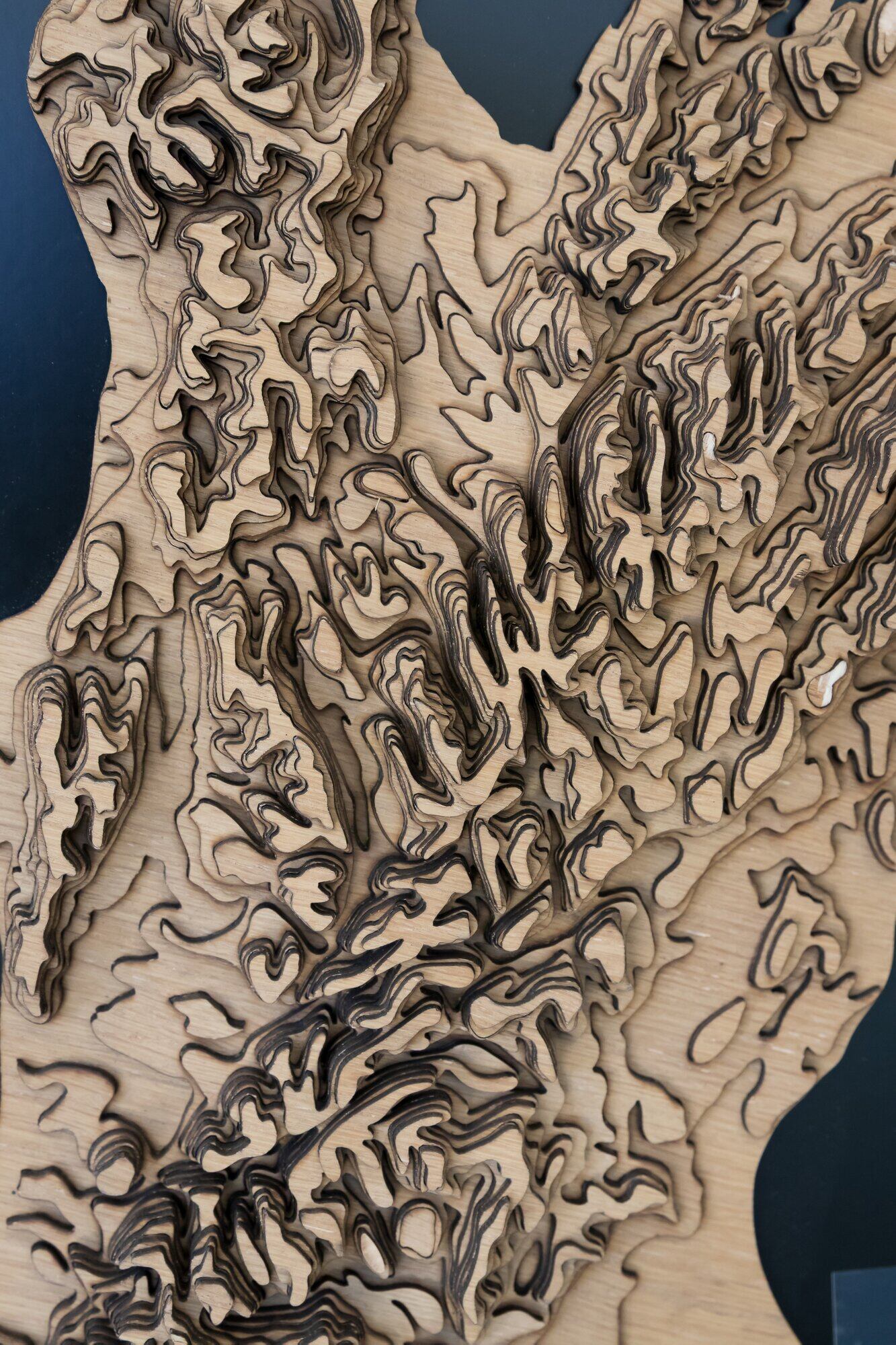  Close up of the three-dimensional wooden Tides Out Map of New Zealand.  Photo / Kelly O&rsquo;Hara