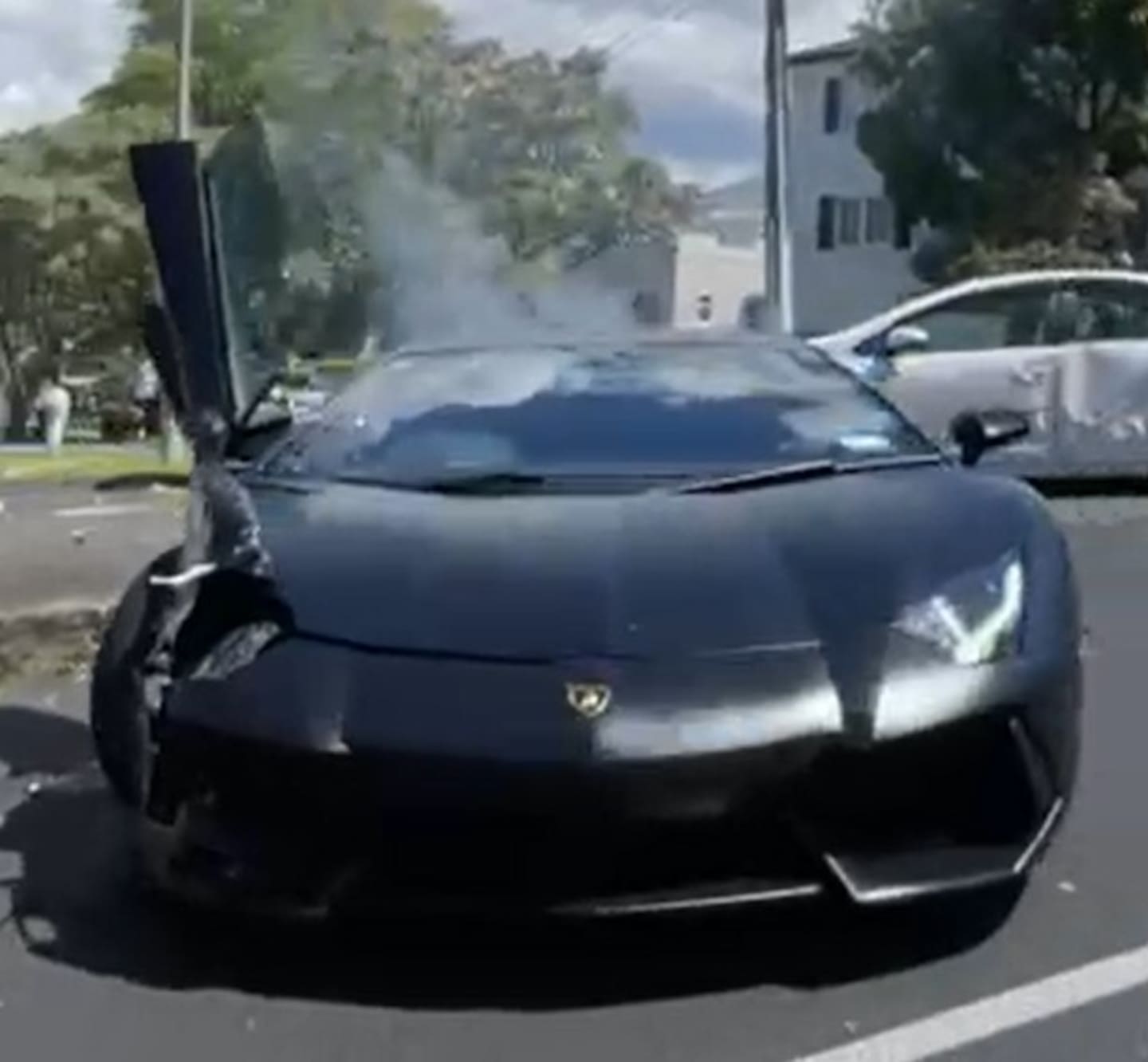 A Lamborghini burst into flames on Saturday afternoon. Photo / Supplied