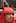 A broker dressed up for carnival at the stock exchange in Frankfurt, Germany. Photo / AP