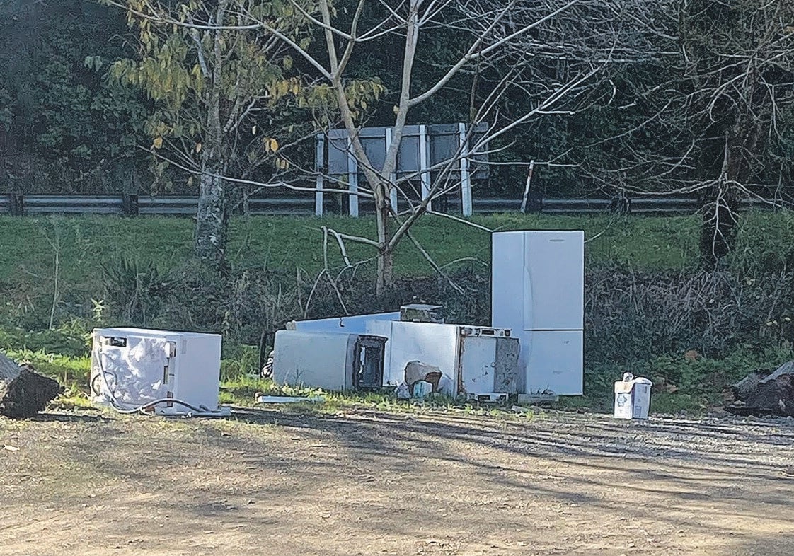  A variety of whiteware was also dumped at the Wardlaw Glade carpark.