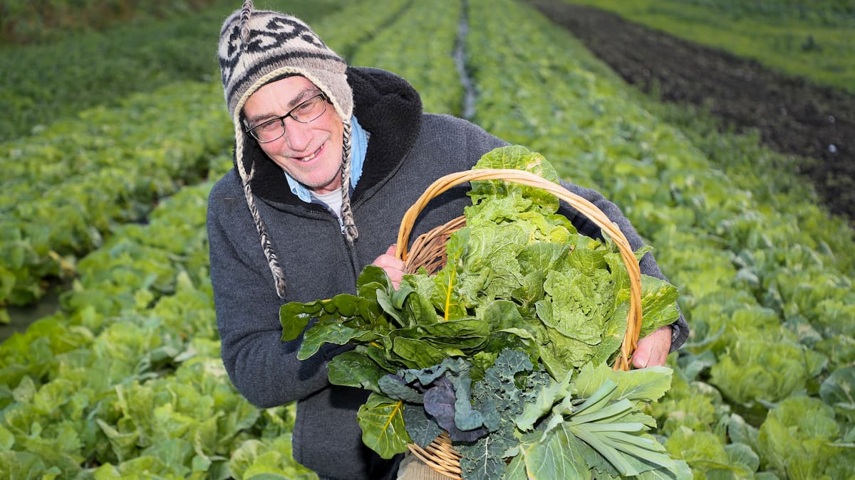 When your car becomes your coffin When your car becomes your coffin