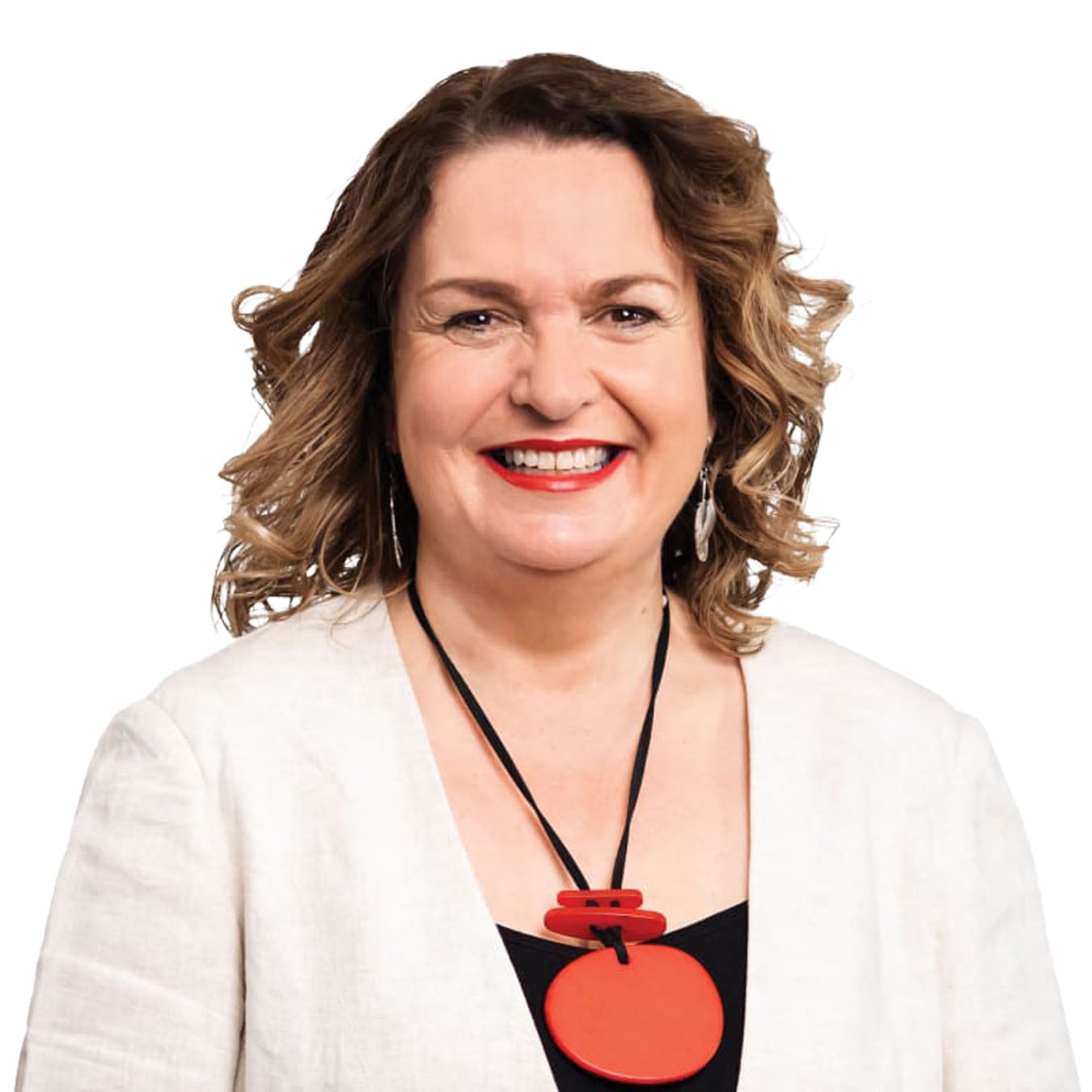 Labour MP Jan Tinetti. Photo/File