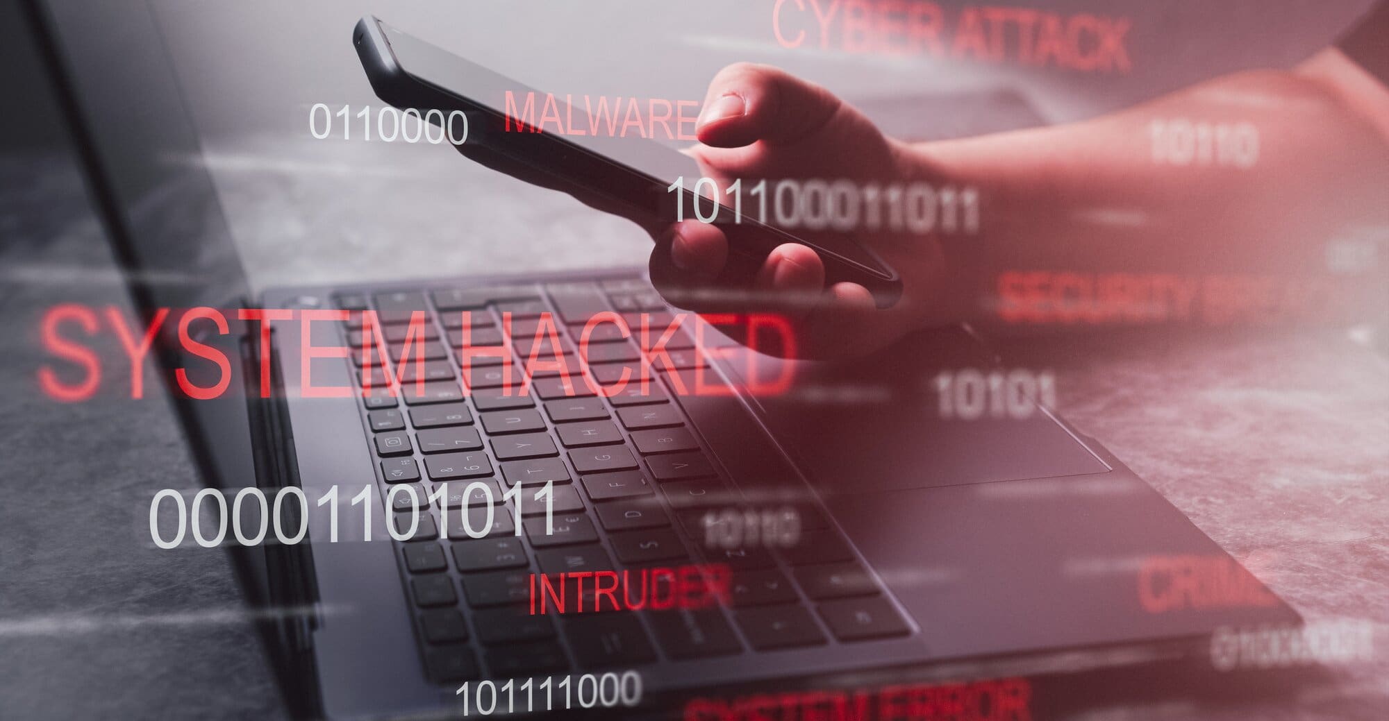 Small businesses not exempt from cyber - attacks , internet watchdog Netsafe says