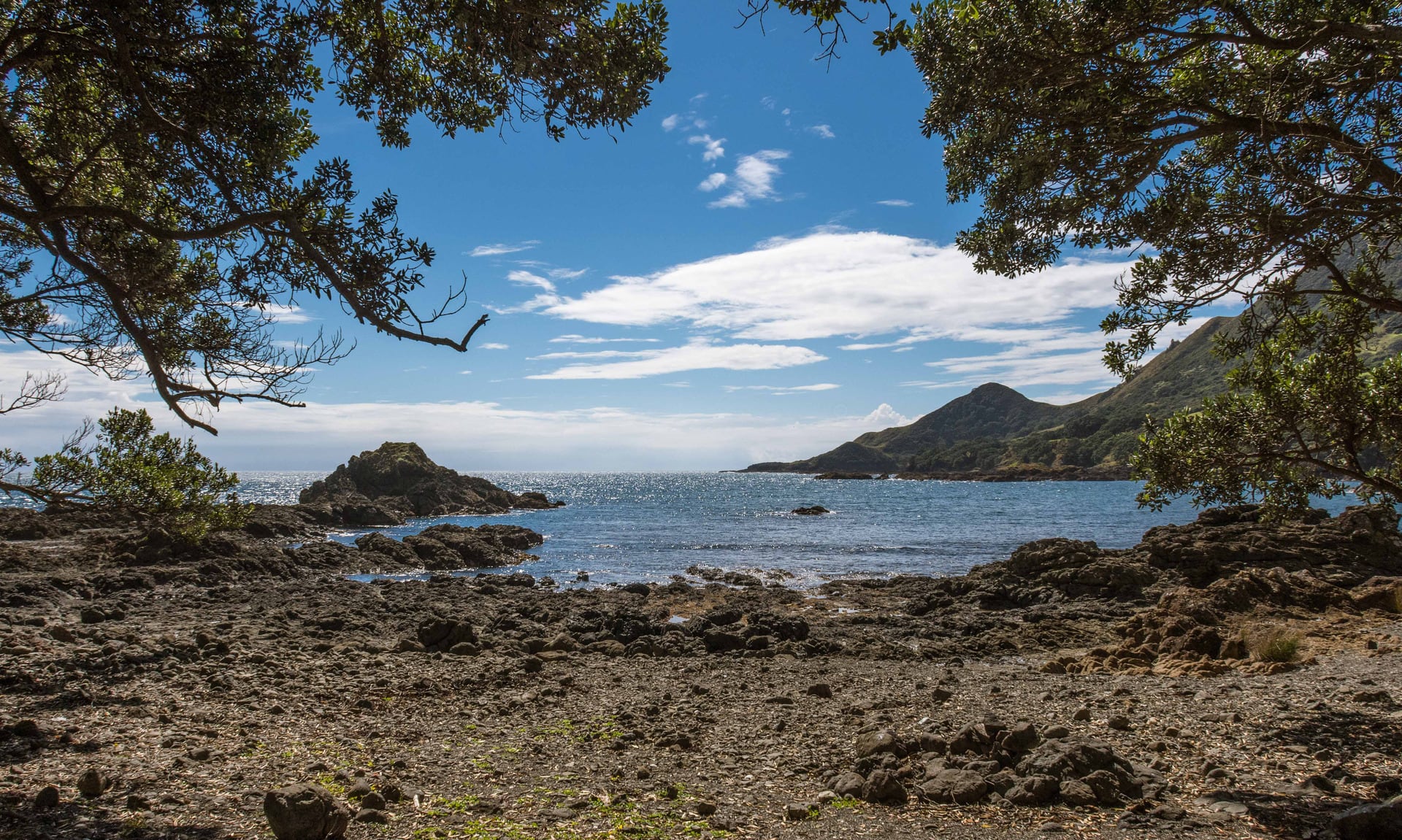 Aaron Matthews was diving near Lottin Point, East Cape. Photo / Shellie Evans