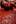 A man lying on the tomato-covered ground. Photo / AP
