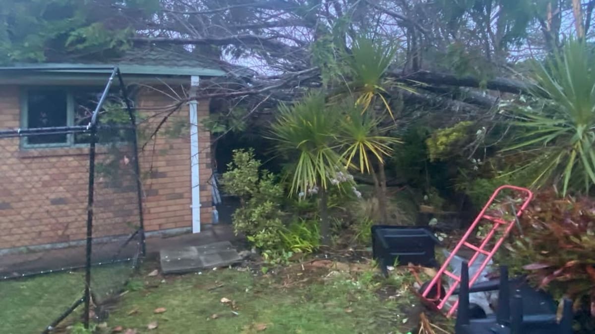 ‘It was so intense’: Woman’s ‘deja vu’ during second terrifying tornado ‘It was so intense’: Woman’s ‘deja vu’ during second terrifying tornado
