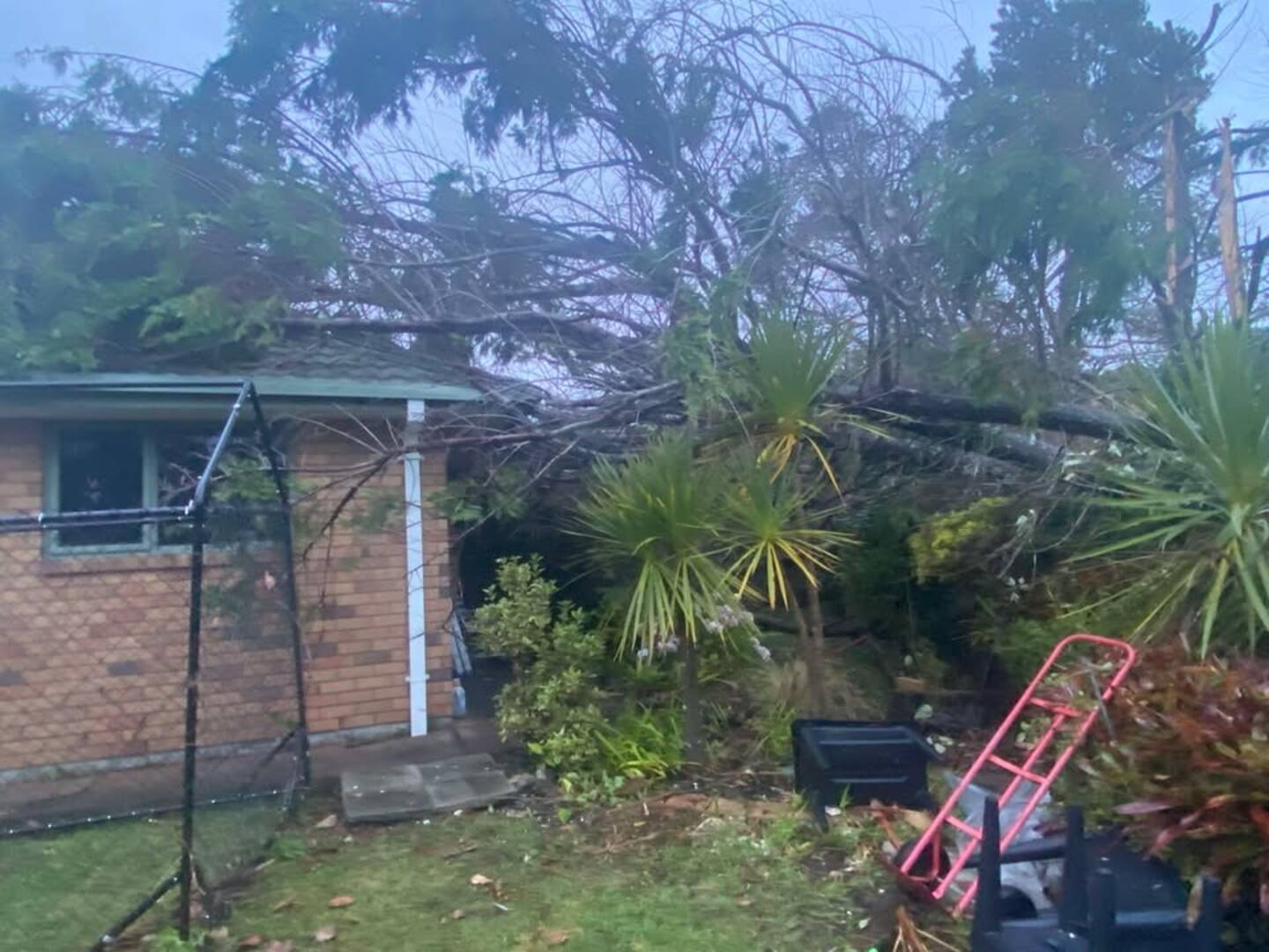 All of Christelle Hynd's parents trees were "ripped out of the ground" during the tornado. Photo / Christelle Hynd