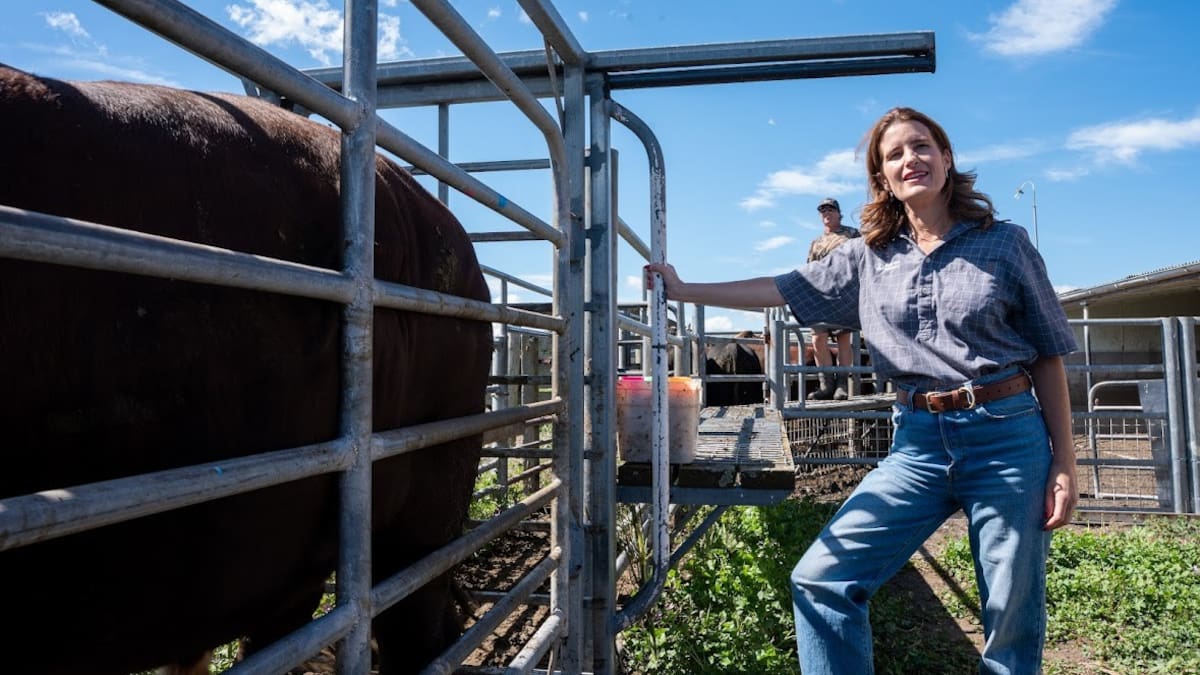 KiwiSaver withdrawal rule changes driven by anecdotes, farmers’ lobbying rather than evidence, MBIE report says