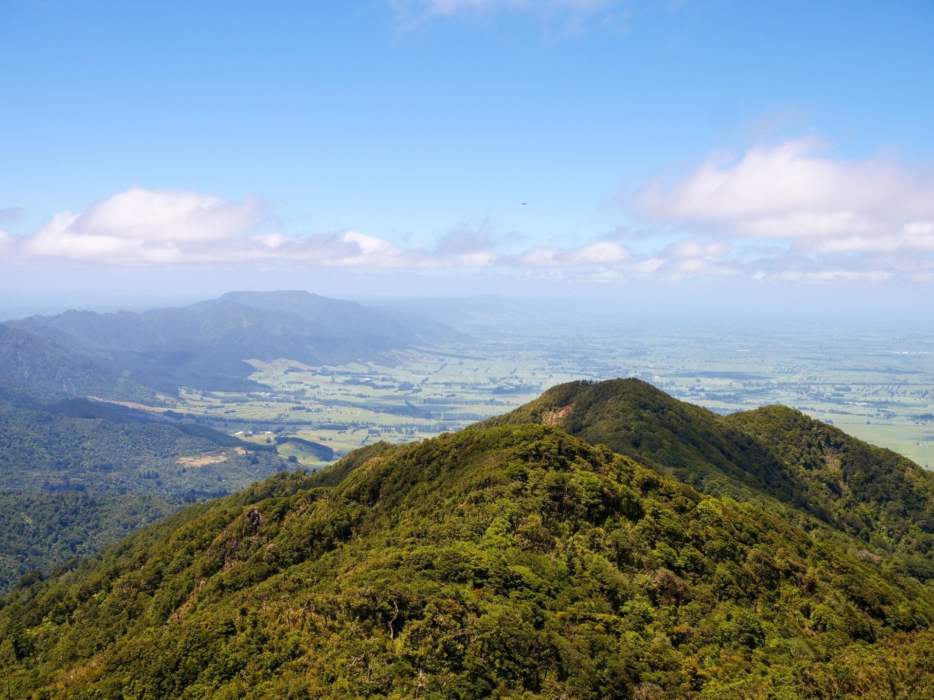 Waikato from the top of Mt Te Aroha in the Kaimai Mamaku Conservation Park. Photo / Rebecca Lee