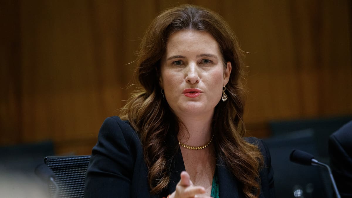 SolarZero collapse: Willis demands more answers from NZGIF SolarZero collapse: Willis demands more answers from NZGIF