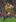 Fullback: Adam Ashley-Cooper, Australia. Photo / Getty Images