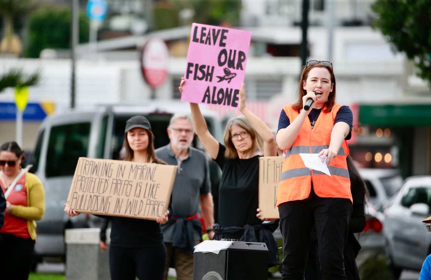 ‘It’s time to take action’: Greenpeace and Forest & Bird protest bottom ...