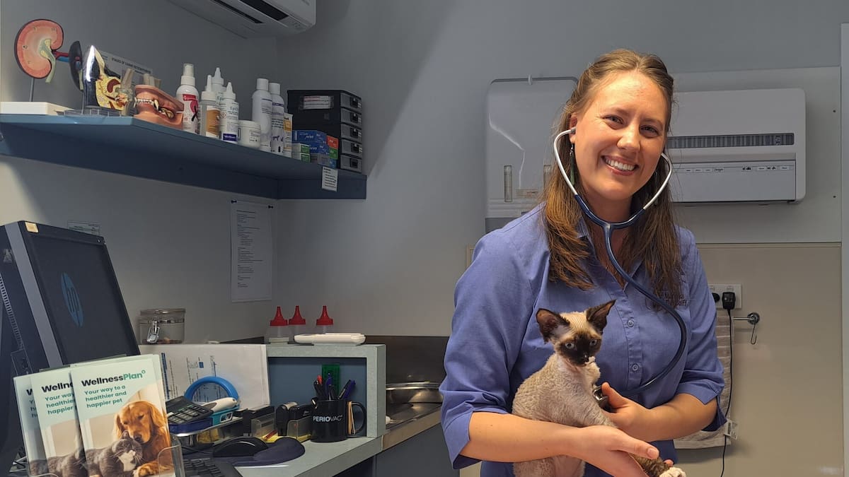 Tauranga vet Mariska Chalmers aids Tonga animals with SPAW charity