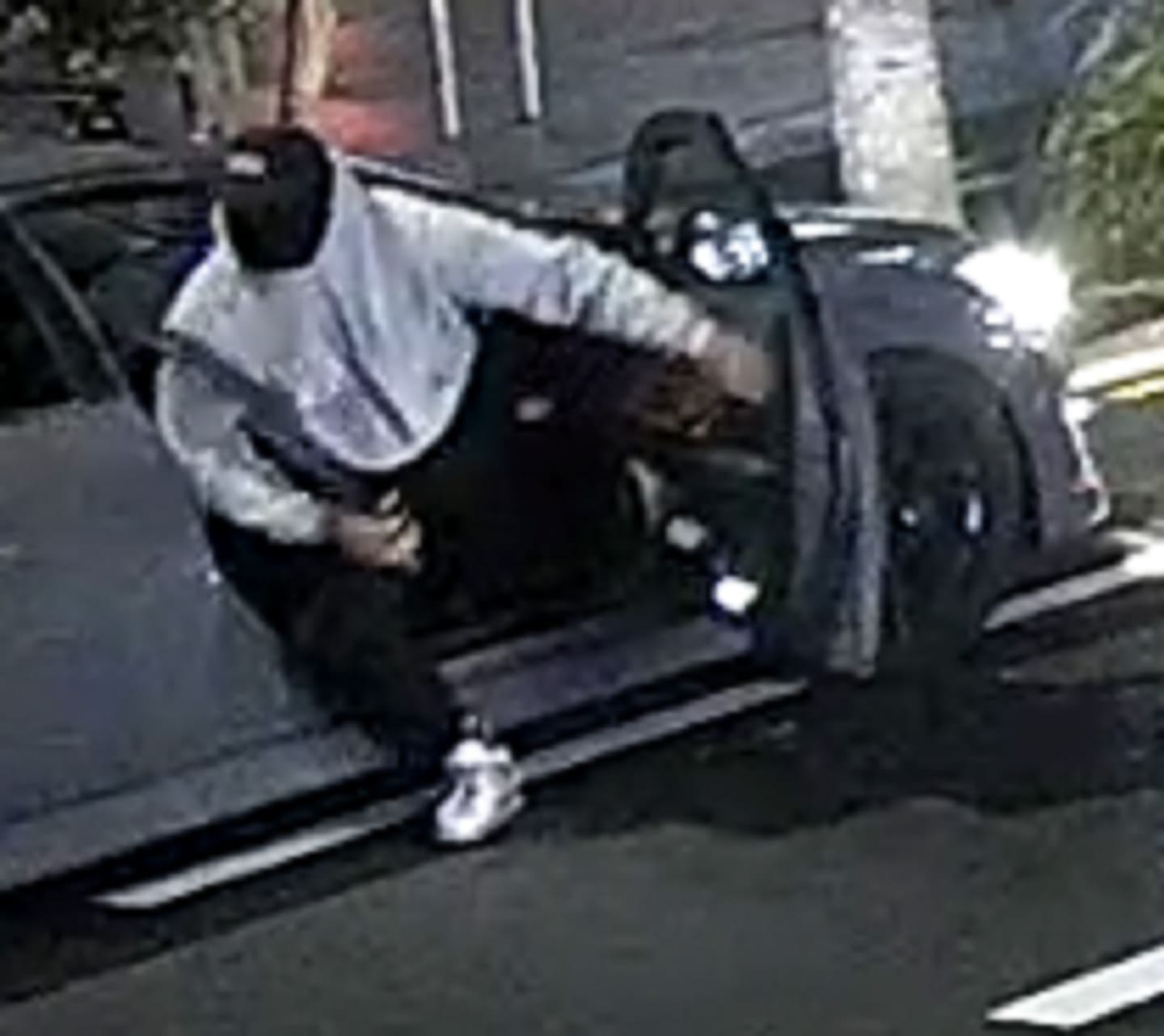 Police have released images of the vandals so see if the public can help identify them. Photo / NZ Police
