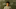 James Rolleston as the lead character in Taika Waititi's Boy.