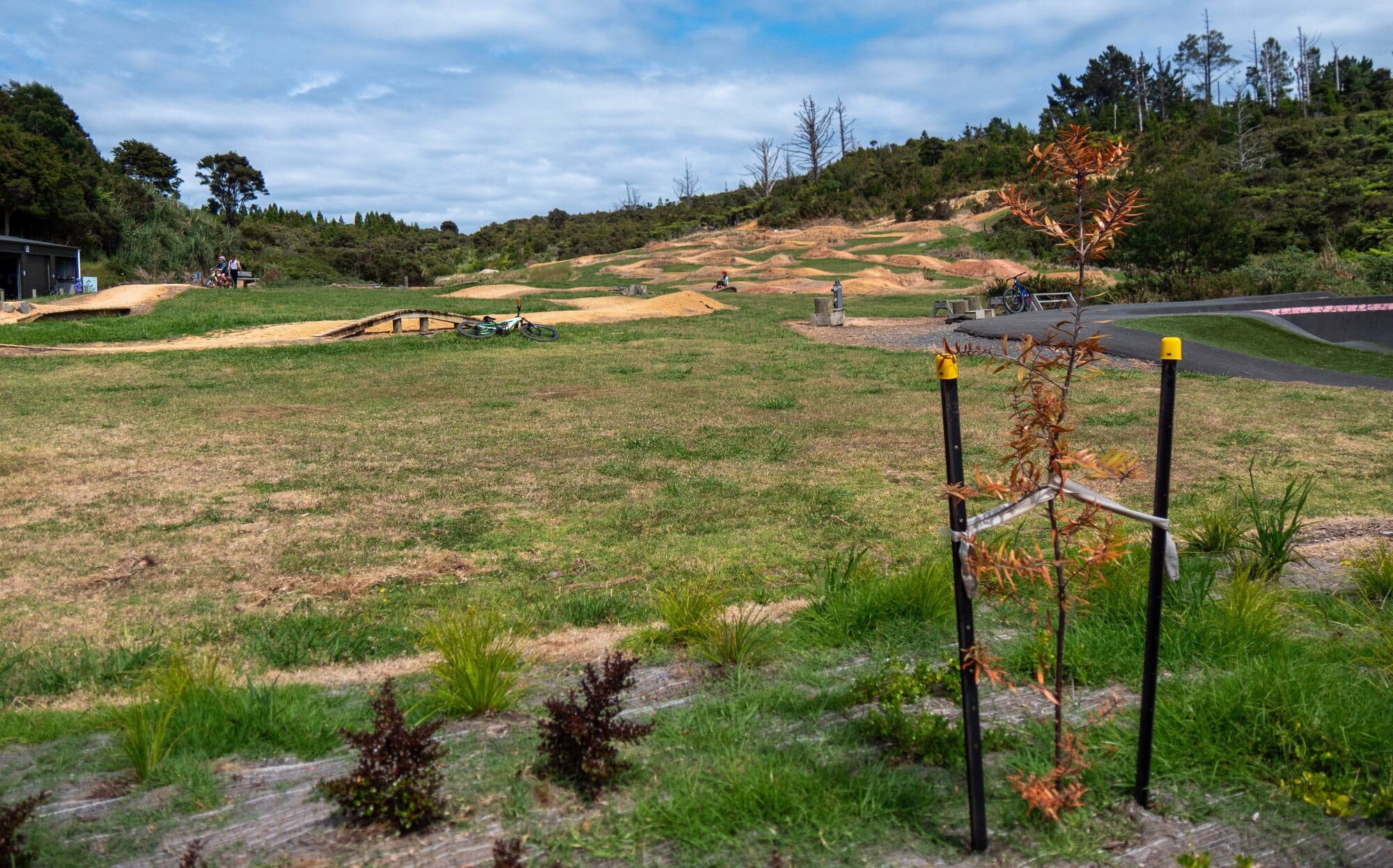  Ride Coromandel near Coromandel Town. Photo / Tom Eley