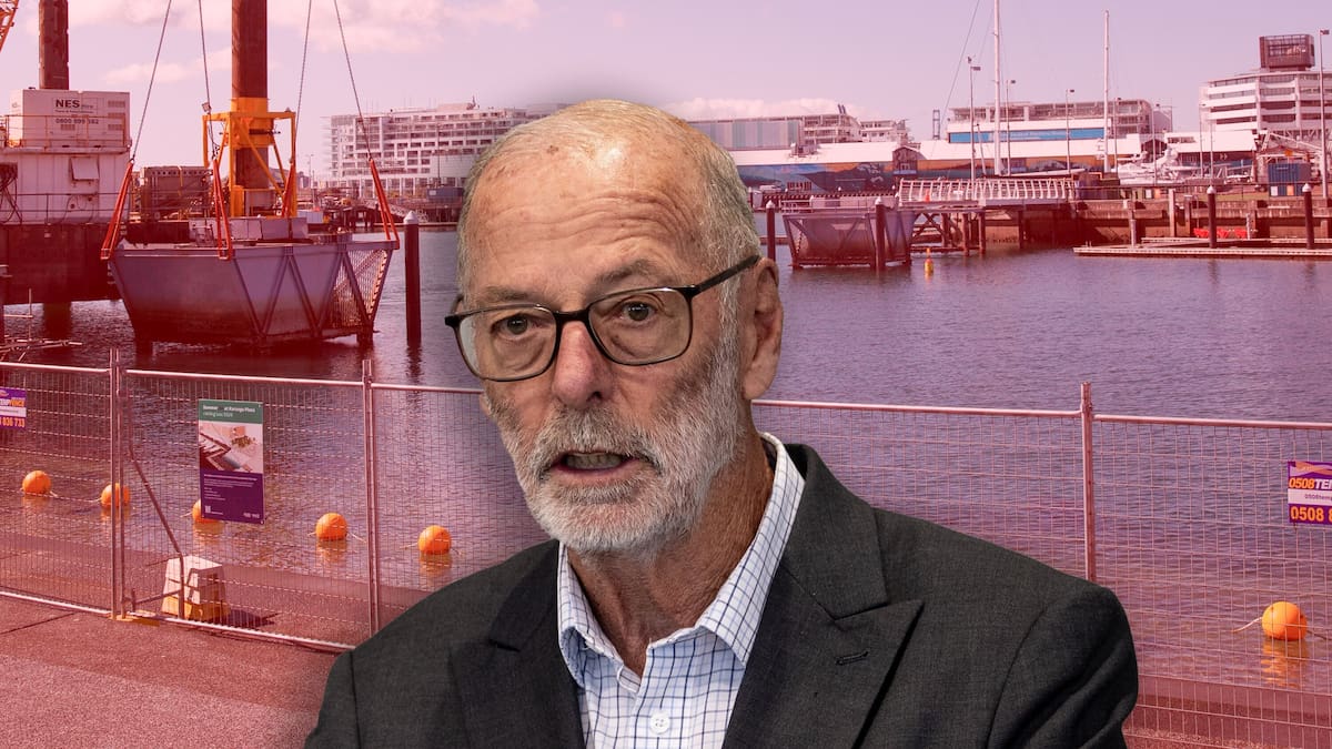 Cecilia Robinson: Why Wayne Brown should step aside for Auckland’s future Cecilia Robinson: Why Wayne Brown should step aside for Auckland’s future