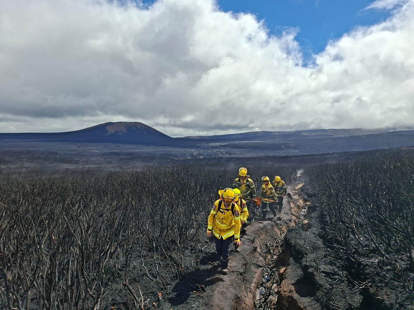 Firefighters, helicopters and fixed-wing aircraft worked desperately to contain the fast-moving Tongariro blaze, and then stamp out individual hotspots. Photo / DoC