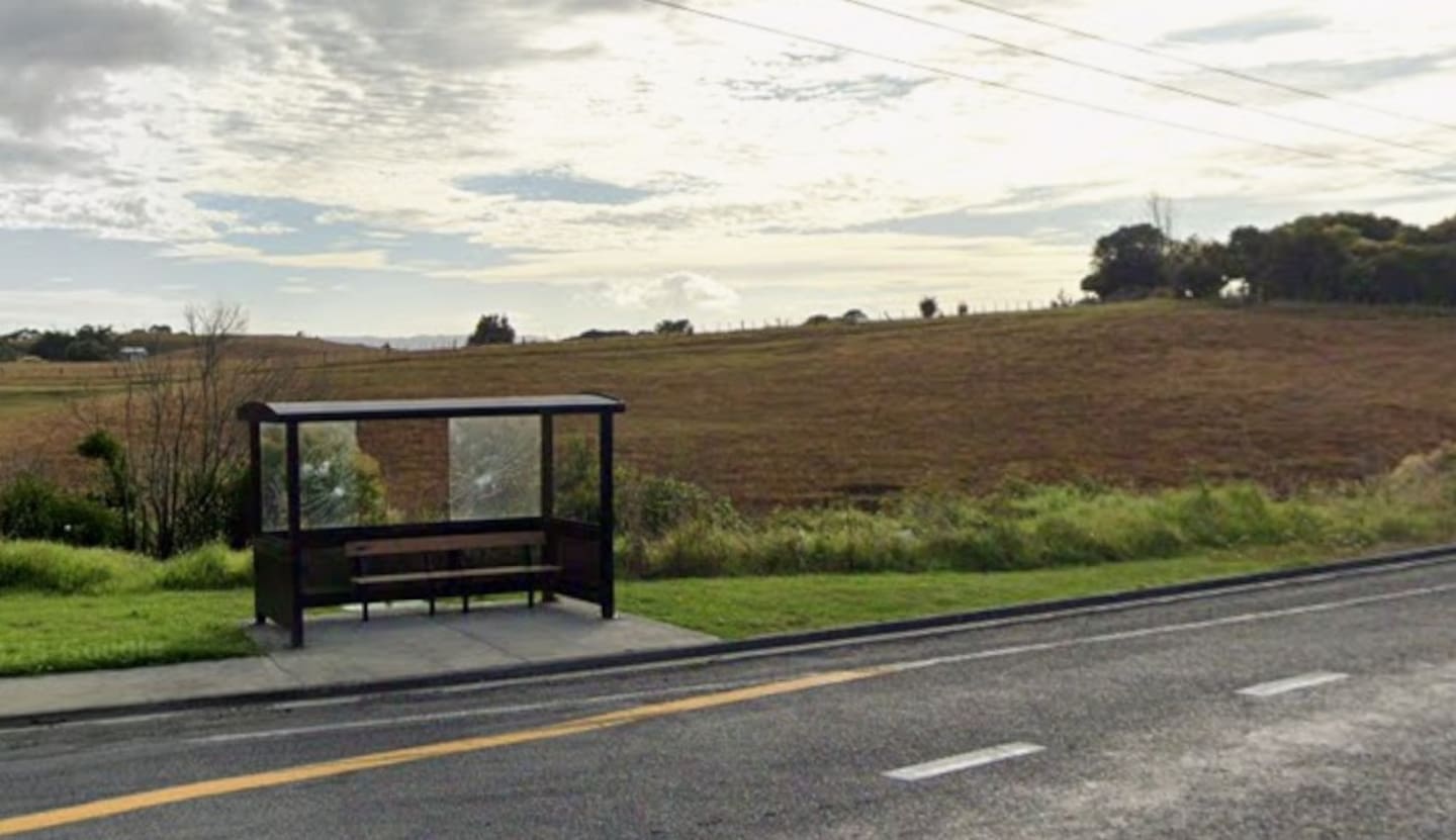 Police want to speak to the driver who picked up a man from the intersection of Lorenzen Bay Rd and Main Rd at 6am on February 28. Image / Google